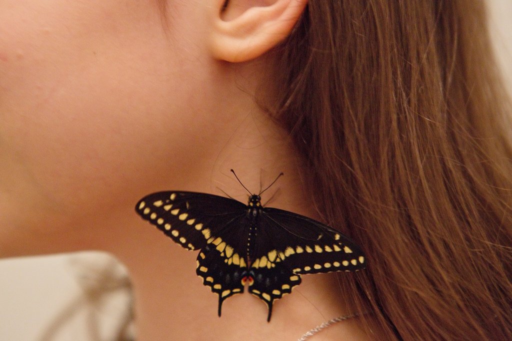 Eleven-year-old  Skye Rothstein with her black swallowtail butterfly best friend. (Photo: Kirsten Luce for The New York Times 