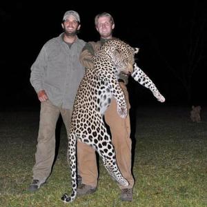 Don Jr. and Eric with trophy leopard